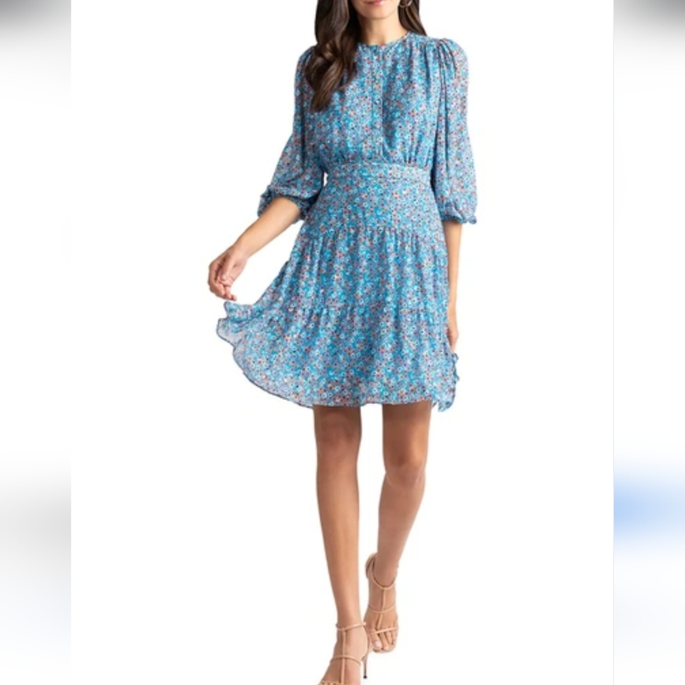 Shoshanna Amara Ditsy  Perwinkle Floral Chiffon Dress Size 6